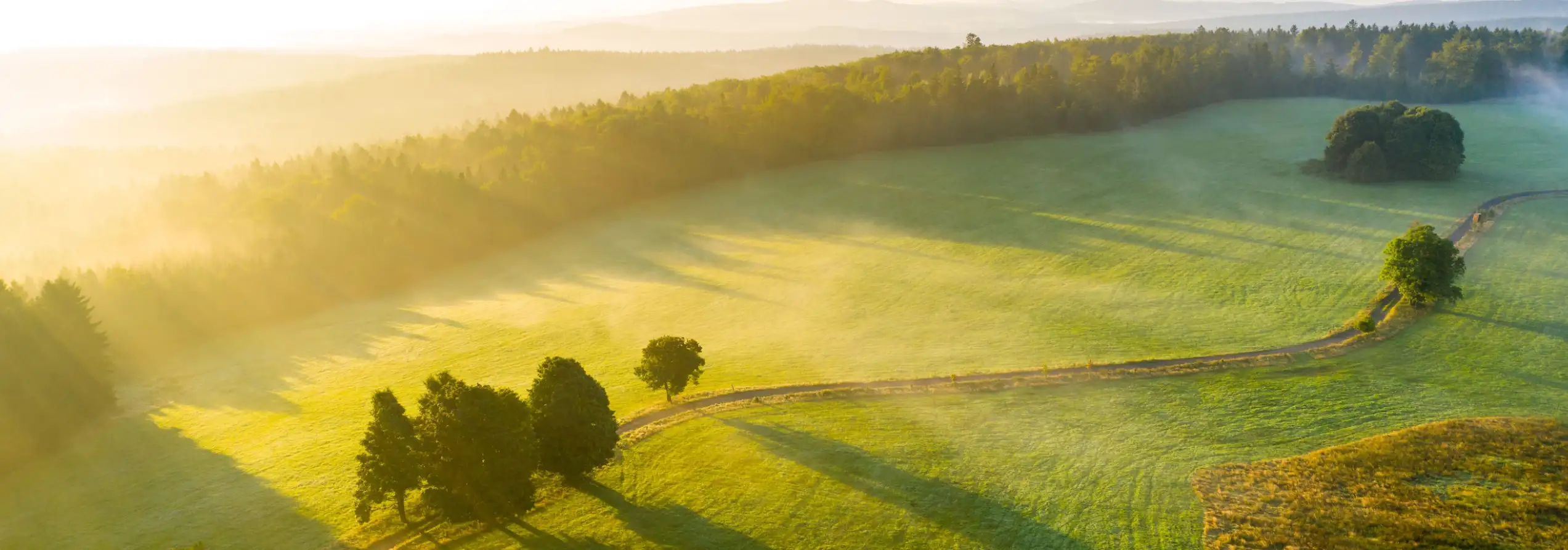 Profesjonalne zdjęcia lotnicze dronem Bydgoszcz - usługi fotografii i filmowania z powietrza